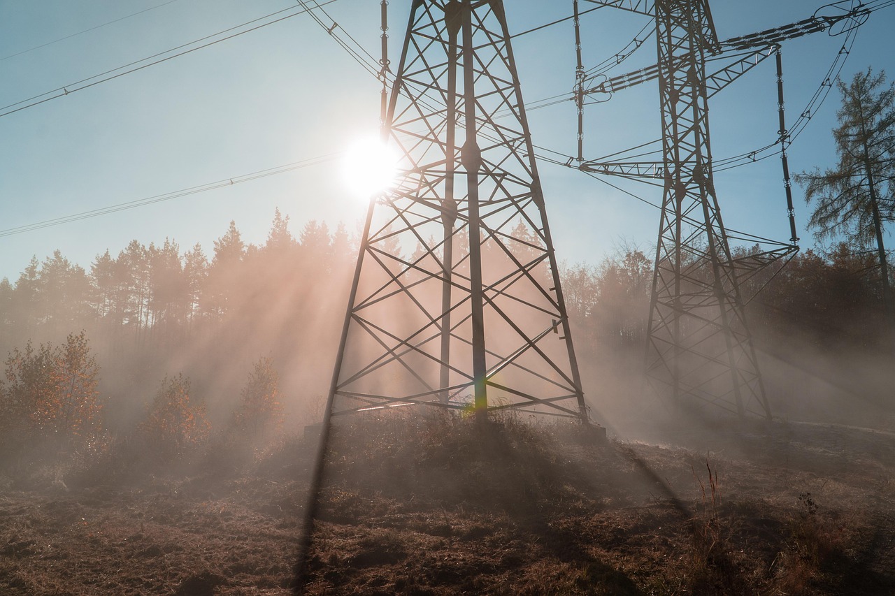 power lines, trees, sun, electricity, overhead power lines, nature, tower, transmission tower, structure, wires, power poles, utility poles, electrical wires, transmission tower, transmission tower, transmission tower, transmission tower, transmission tower, utility poles